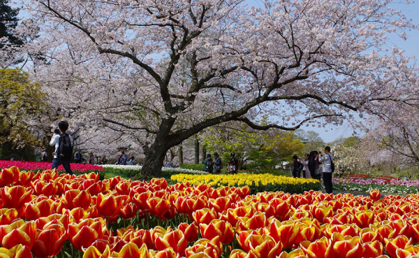 濱松花卉公園