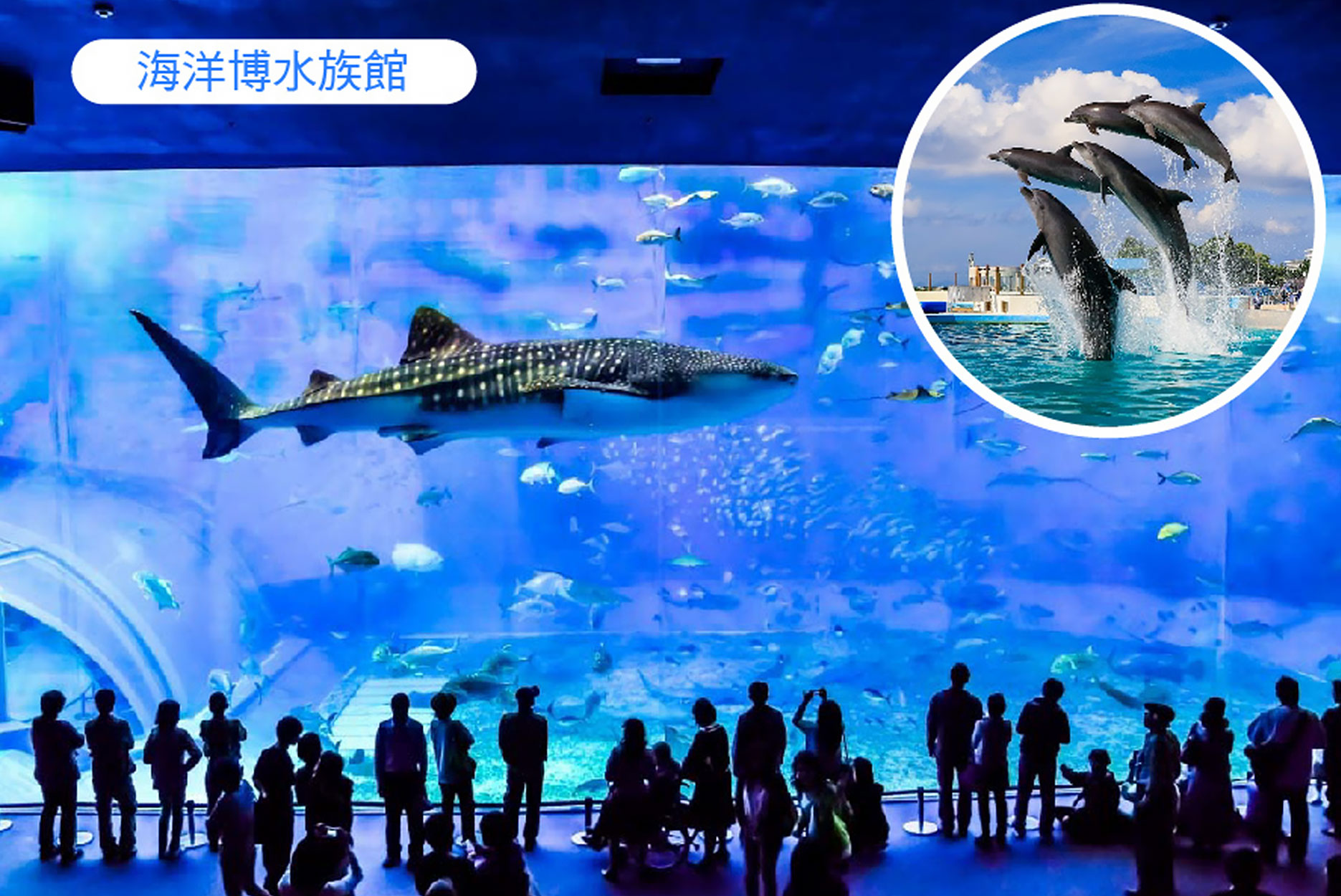 高CP值》沖繩4日x美之海水族館x美國村x瀨長島x古宇利