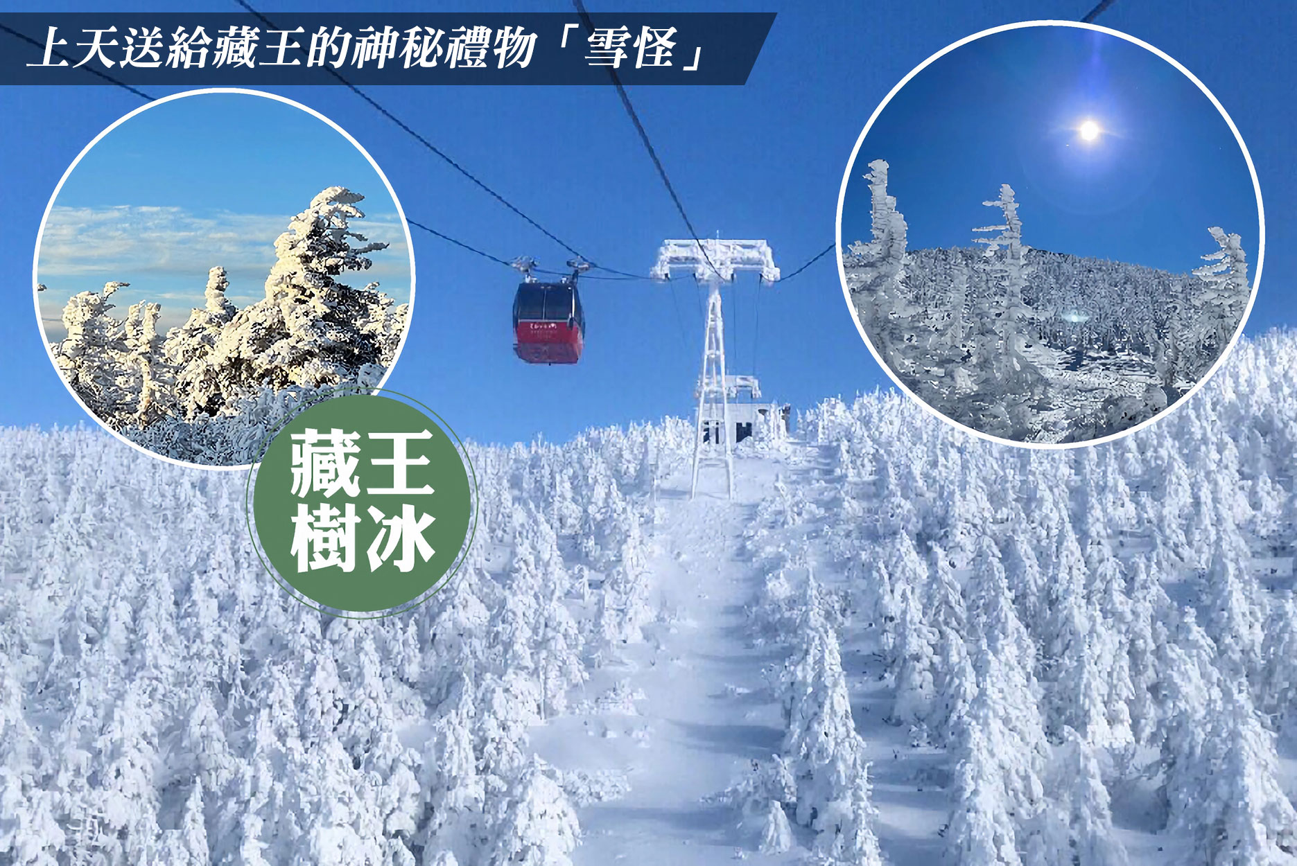 雪上活動》東北藏王樹冰6日