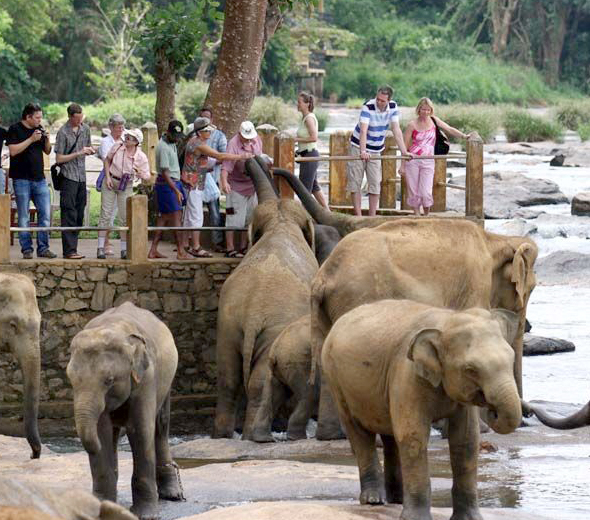 斯里蘭卡，獲選為2019全球第一旅遊國度