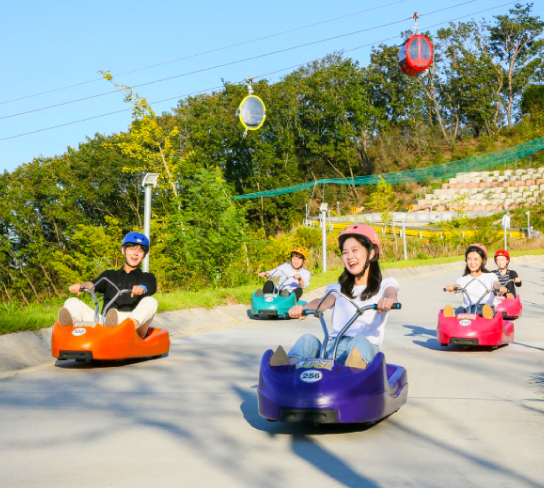 嗨嗨樂遊首爾５日(彩妝1站)~漢灘江Y字吊橋.抱川鴿子囊瀑布.神秘38度線非武裝地帶.LUGE斜坡滑車.潮遊弘大商圈