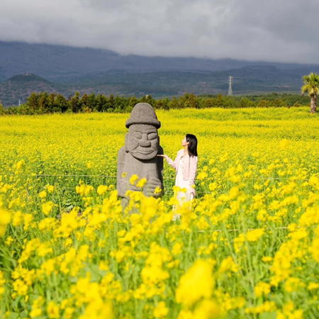 夏濟玩樂濟州５日(彩妝1站)~牛島+花生冰淇淋.史努比庭園.品嚐銷魂海味餐桌.黑豬肉吃到飽.保證入住兩晚四星等級飯店