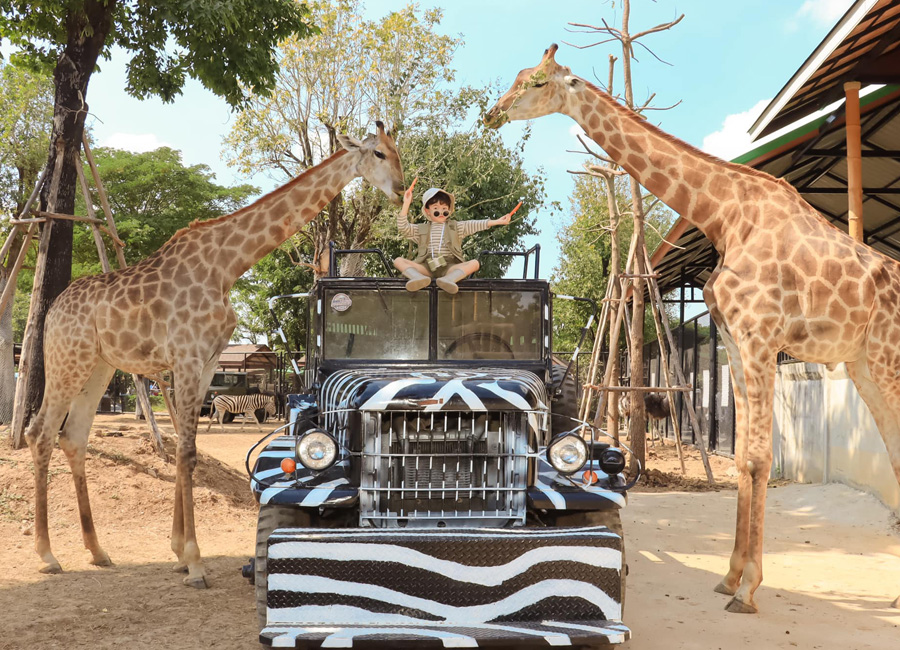【泰蝦了】夜遊湄南河+嘉年華號、大城動物園五日